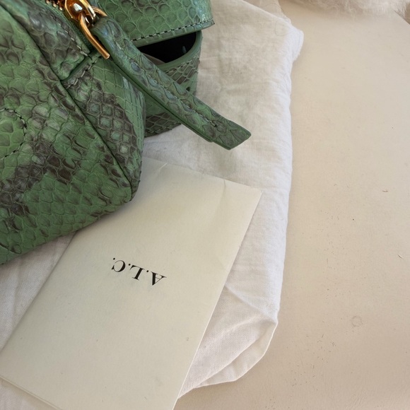 A.L.C. Green Python Crossbody Bag with Gold Accent - Picture 4 of 14